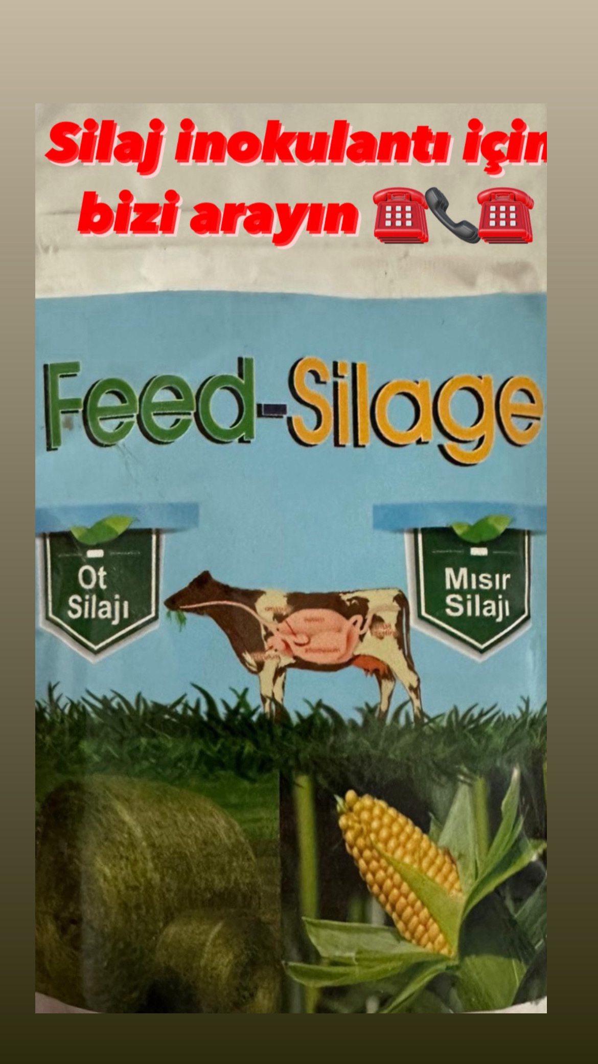 Feed Silaj İnokulant (Kuru Silaj İnokultı) - Görsel 2