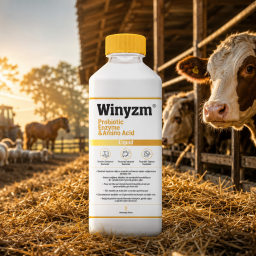 Winzym 1 L Rumen düzenleyici Probiyotik