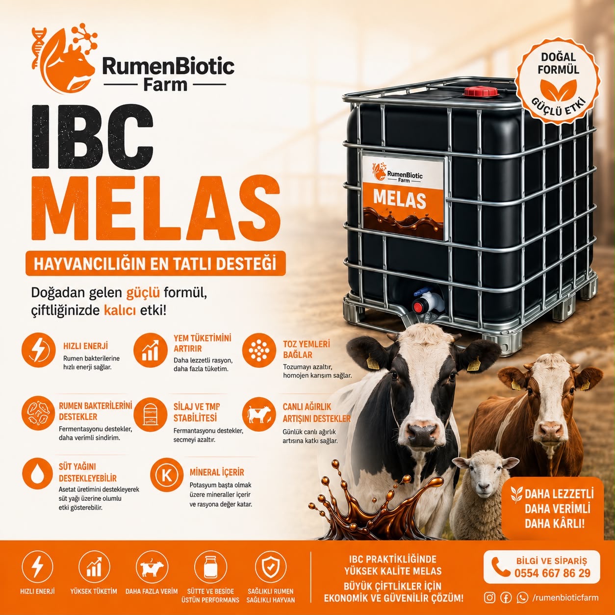 IBC 1300 Kg 78 Brix Şeker Pancarı Melası - Görsel 2
