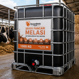 IBC 1300 Kg 78 Brix Şeker Pancarı Melası