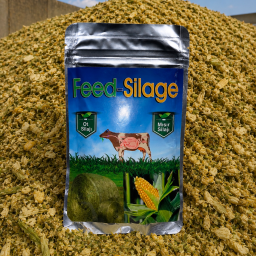 Feed Silaj İnokulant (Kuru Silaj İnokultı)