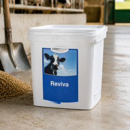 Reviva Lohusa Şerbeti 7 Kg