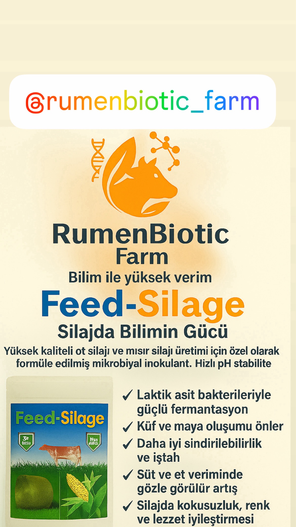 Feed Silaj İnokulant (Kuru Silaj İnokultı) - Görsel 3